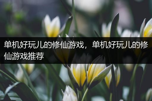 单机好玩儿的修仙游戏，单机好玩儿的修仙游戏推荐