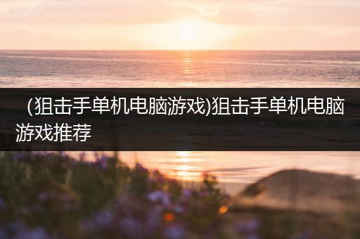 （狙击手单机电脑游戏)狙击手单机电脑游戏推荐