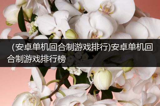 （安卓单机回合制游戏排行)安卓单机回合制游戏排行榜