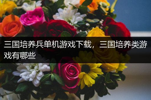 三国培养兵单机游戏下载，三国培养类游戏有哪些