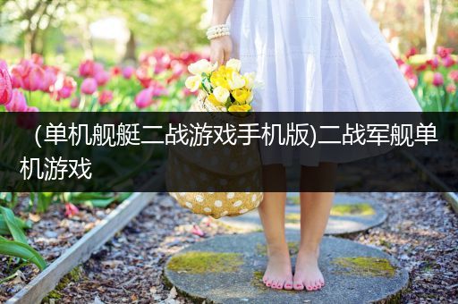 （单机舰艇二战游戏手机版)二战军舰单机游戏