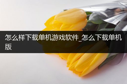 怎么样下载单机游戏软件_怎么下载单机版