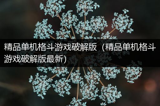 精品单机格斗游戏破解版（精品单机格斗游戏破解版最新）