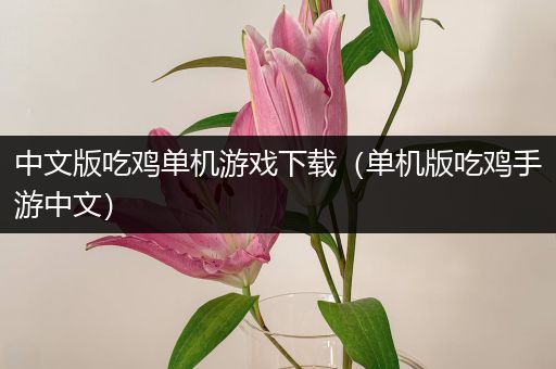 中文版吃鸡单机游戏下载（单机版吃鸡手游中文）