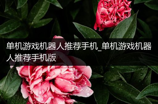 单机游戏机器人推荐手机_单机游戏机器人推荐手机版