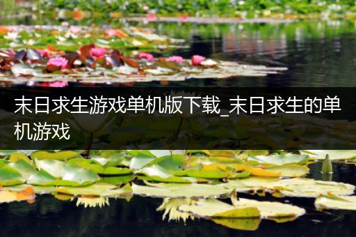 末日求生游戏单机版下载_末日求生的单机游戏