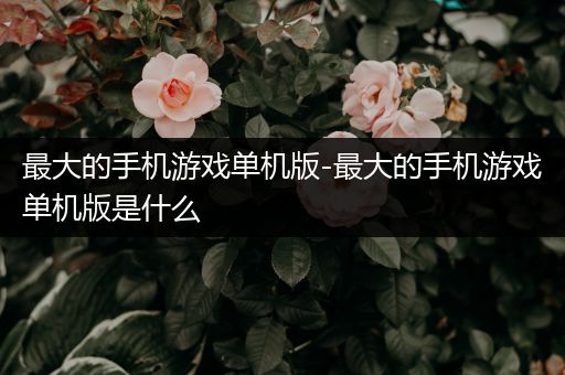 最大的手机游戏单机版-最大的手机游戏单机版是什么