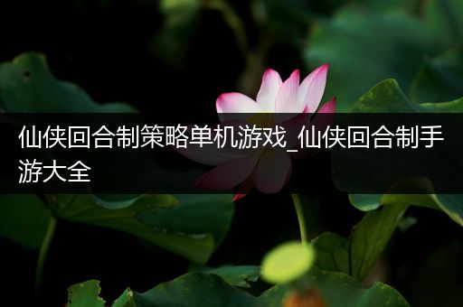 仙侠回合制策略单机游戏_仙侠回合制手游大全