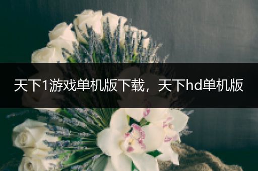 天下1游戏单机版下载，天下hd单机版