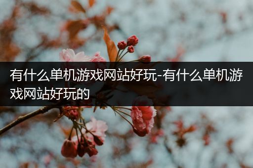 有什么单机游戏网站好玩-有什么单机游戏网站好玩的