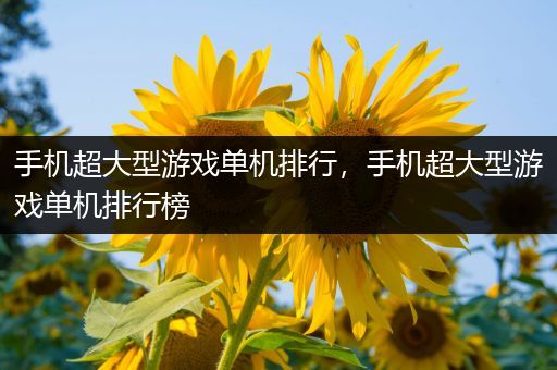 手机超大型游戏单机排行，手机超大型游戏单机排行榜