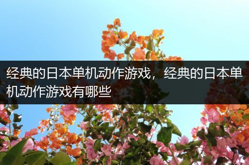 经典的日本单机动作游戏，经典的日本单机动作游戏有哪些