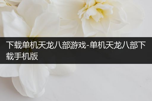 下载单机天龙八部游戏-单机天龙八部下载手机版