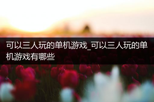 可以三人玩的单机游戏_可以三人玩的单机游戏有哪些