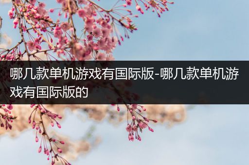 哪几款单机游戏有国际版-哪几款单机游戏有国际版的