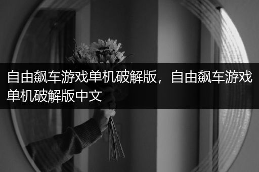 自由飙车游戏单机破解版，自由飙车游戏单机破解版中文
