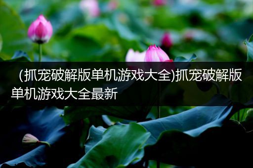 （抓宠破解版单机游戏大全)抓宠破解版单机游戏大全最新
