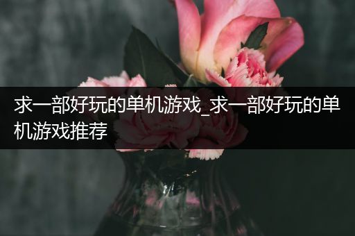 求一部好玩的单机游戏_求一部好玩的单机游戏推荐