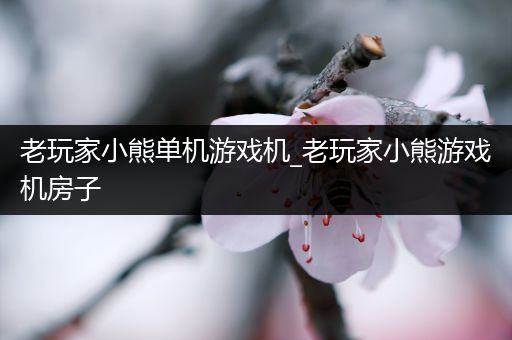 老玩家小熊单机游戏机_老玩家小熊游戏机房子
