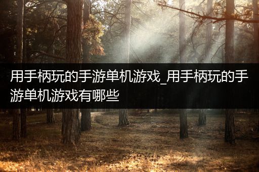 用手柄玩的手游单机游戏_用手柄玩的手游单机游戏有哪些