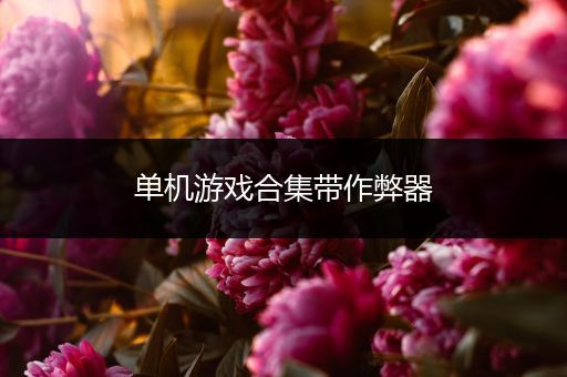 单机游戏合集带作弊器