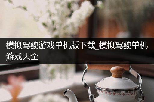 模拟驾驶游戏单机版下载_模拟驾驶单机游戏大全