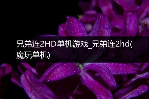 兄弟连2HD单机游戏_兄弟连2hd(魔玩单机)