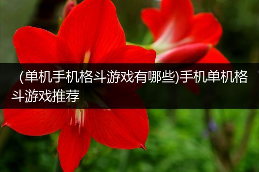 （单机手机格斗游戏有哪些)手机单机格斗游戏推荐