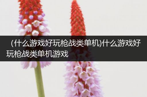 （什么游戏好玩枪战类单机)什么游戏好玩枪战类单机游戏