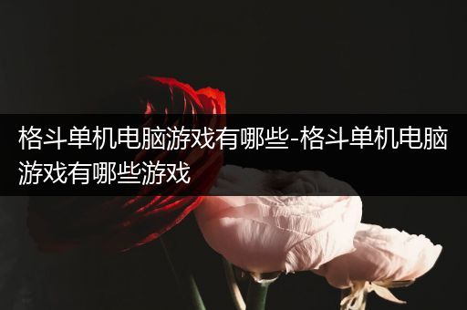 格斗单机电脑游戏有哪些-格斗单机电脑游戏有哪些游戏