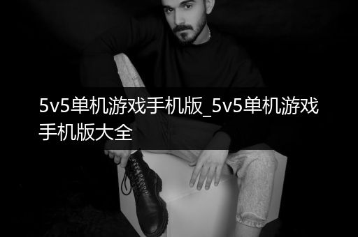 5v5单机游戏手机版_5v5单机游戏手机版大全
