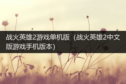 战火英雄2游戏单机版（战火英雄2中文版游戏手机版本）