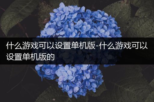 什么游戏可以设置单机版-什么游戏可以设置单机版的