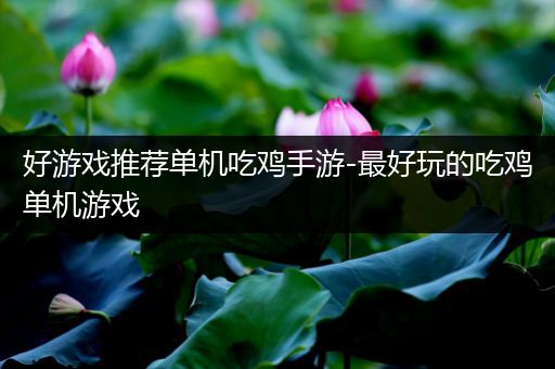 好游戏推荐单机吃鸡手游-最好玩的吃鸡单机游戏