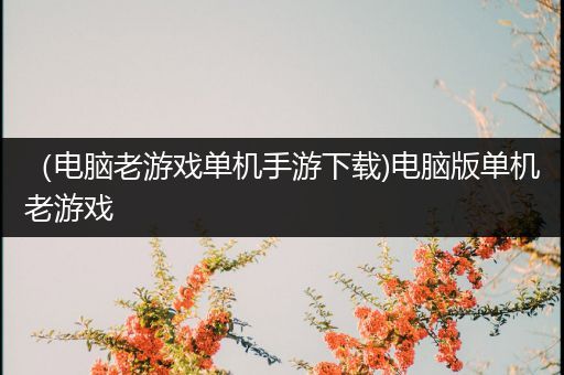 （电脑老游戏单机手游下载)电脑版单机老游戏
