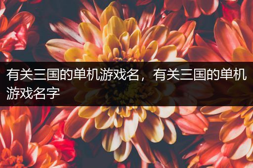 有关三国的单机游戏名，有关三国的单机游戏名字