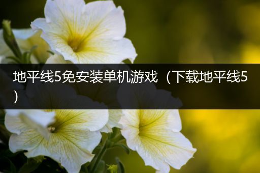 地平线5免安装单机游戏（下载地平线5）