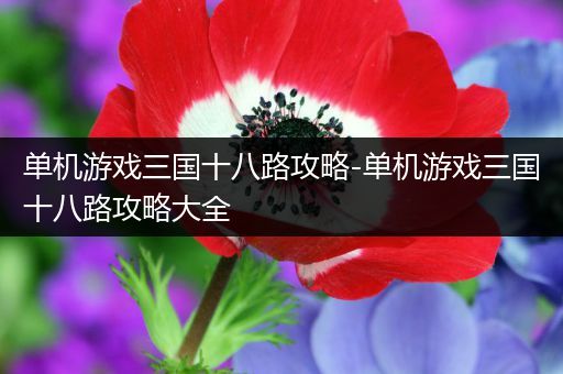 单机游戏三国十八路攻略-单机游戏三国十八路攻略大全