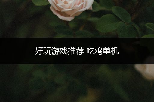 好玩游戏推荐 吃鸡单机