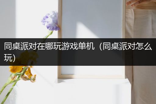 同桌派对在哪玩游戏单机（同桌派对怎么玩）