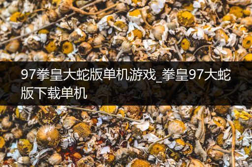 97拳皇大蛇版单机游戏_拳皇97大蛇版下载单机