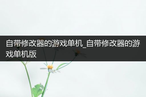 自带修改器的游戏单机_自带修改器的游戏单机版