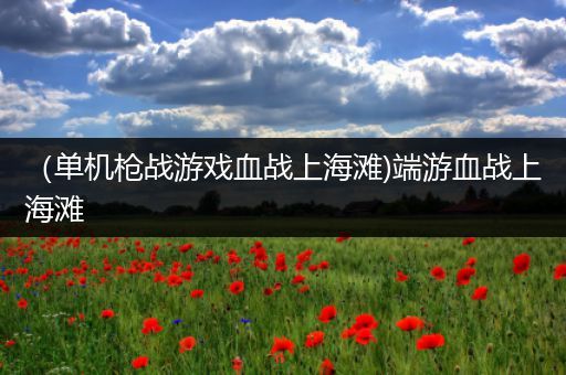 （单机枪战游戏血战上海滩)端游血战上海滩