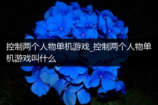控制两个人物单机游戏_控制两个人物单机游戏叫什么