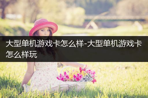 大型单机游戏卡怎么样-大型单机游戏卡怎么样玩