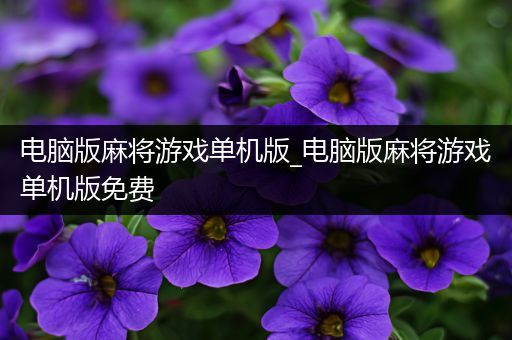 电脑版麻将游戏单机版_电脑版麻将游戏单机版免费