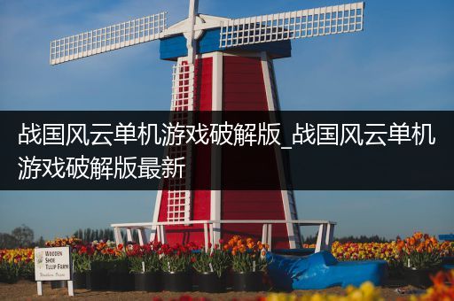 战国风云单机游戏破解版_战国风云单机游戏破解版最新