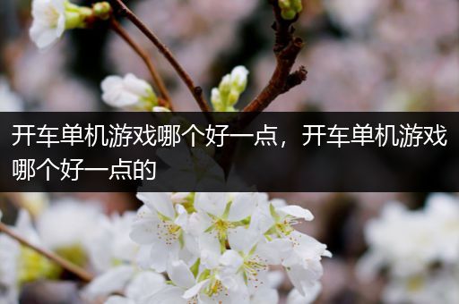 开车单机游戏哪个好一点，开车单机游戏哪个好一点的