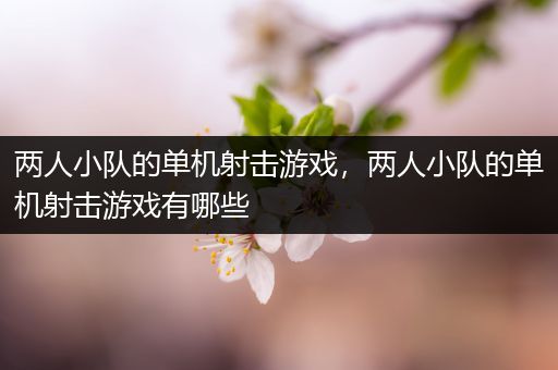 两人小队的单机射击游戏，两人小队的单机射击游戏有哪些