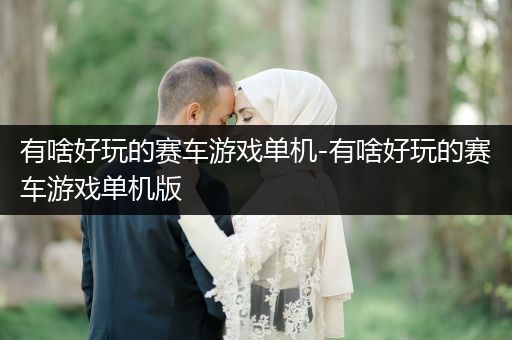 有啥好玩的赛车游戏单机-有啥好玩的赛车游戏单机版